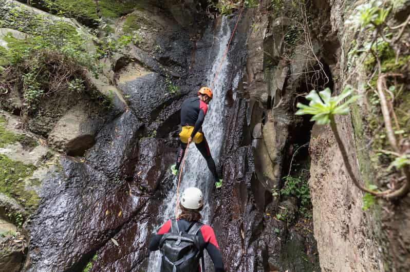 Gran Canaria Canyoning In The Rainforest Getyourguide