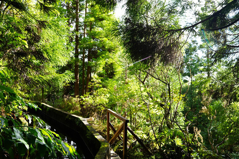 Azores: São Miguel and Lagoa do Fogo Hiking Trip