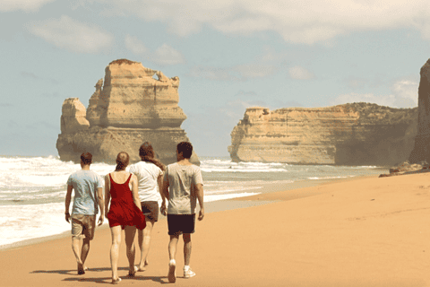 oceans to islands 2day ocean road phillip island tour