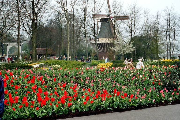 Amsterdam: Halve dag Keukenhof rondleiding met entreeAmsterdam: Halve dag Keukenhof rondleiding