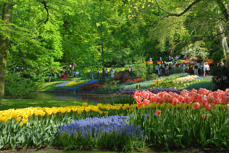 Amsterdam: Halve dag Keukenhof rondleiding met entreeAmsterdam: Halve dag Keukenhof rondleiding