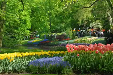 Amsterdam: Keukenhof guidet tur på en halvdagstur med entré