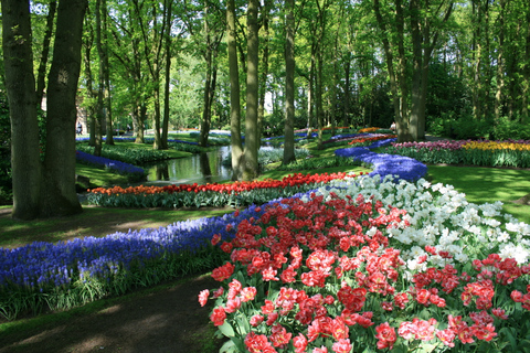 Amsterdam: Halve dag Keukenhof rondleiding met entreeAmsterdam: Halve dag Keukenhof rondleiding