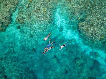 Ab Cairns: Premium-Schnorchetour zum Great Barrier Reef Ab Cairns: Premium-Schnorchetour zum Great Barrier Reef