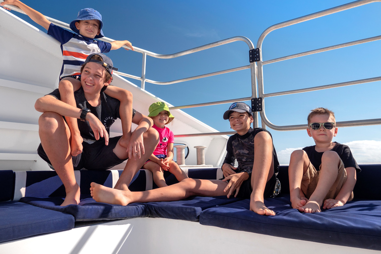 Vanuit Cairns: Snorkelen of duiken in het Groot Barrièrerif2 gecertificeerde duiken met lunch