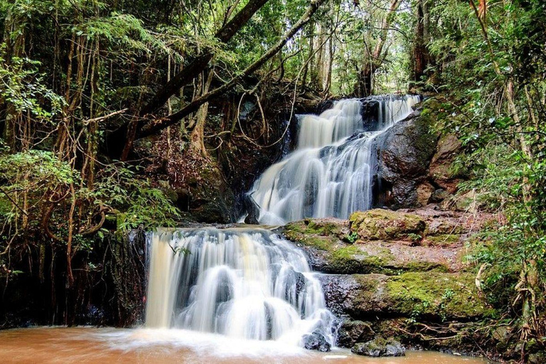 Nairobi: Karura Forest Guided Bike Tour or Walking tour