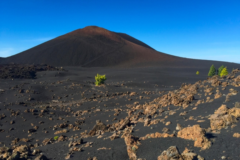 Tenerife: Teide National Park and Teno Full-Day Tour