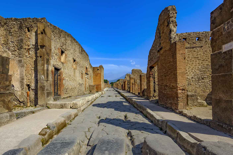 Pompeya: La vida cotidiana de la antigua Pompeya Tour privado