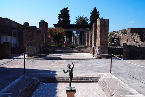 Pompeya: La vida cotidiana de la antigua Pompeya Tour privado