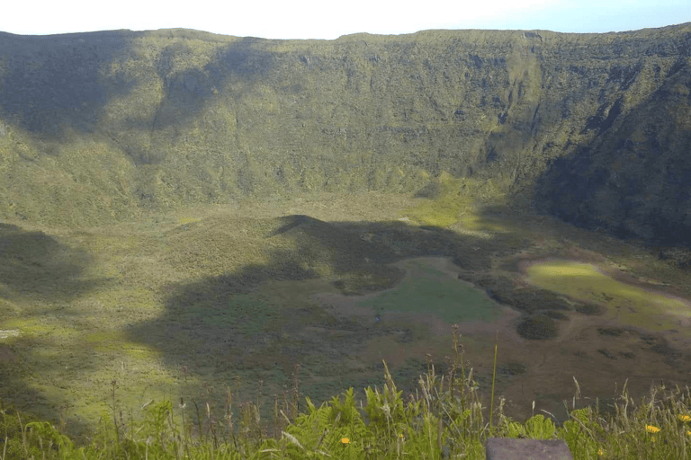 Faial Island: Personlig rundtur med Pic Nic