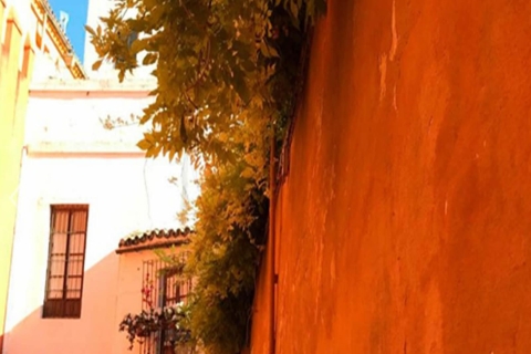 Sevilla: wandeltocht van 1 uur in Barrio de Santa CruzWandeling Barrio de Santa Cruz in het Engels