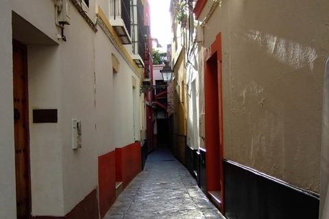 Séville : visite à pied de 1 h du Barrio de Santa CruzVisite à pied du quartier de Santa Cruz en anglais