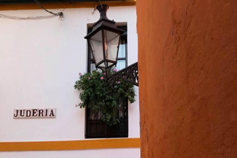 Sevilla: tour a pie de 1 h por el barrio de Santa CruzTour a pie por el barrio de Santa Cruz en francés