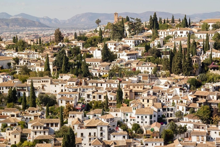 Granada: Rundgang durch Albaicín und SacromonteAlbaicín & Sacromonte: 2,5-stündiger Rundgang auf Spanisch
