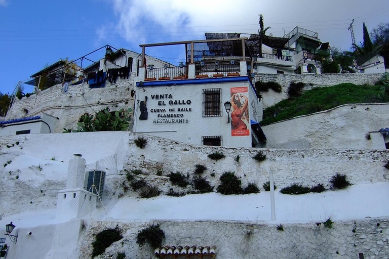 Grenade : visite à pied de 2,5 h Albaicín et SacromonteVisite à pied de 2 h 30 d’Albaicín et Sacromonte en espagnol