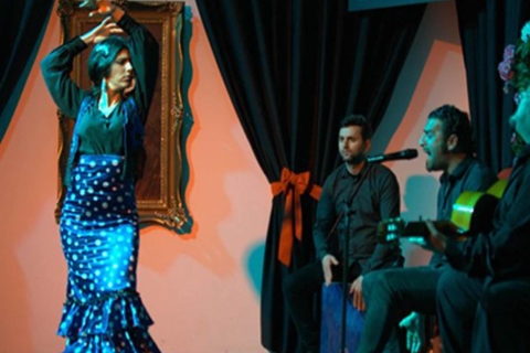 Grenade : spectacle authentique d'1 h de flamencoSpectacle de flamenco