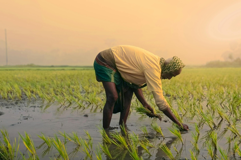 Dimbulagala Eco Trekking and Village Tour From Polonnaruwa