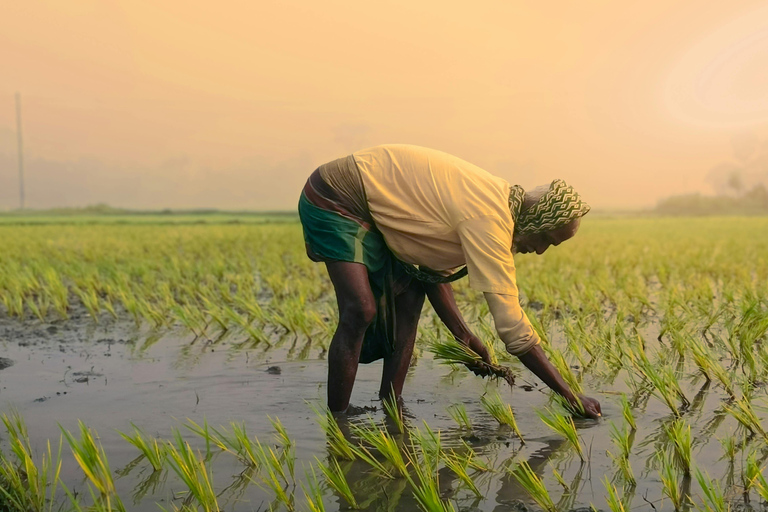 Dimbulagala Eco Trekking and Village Tour From Polonnaruwa