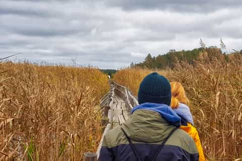 Riga: Best of Kemeri National Park In One Day