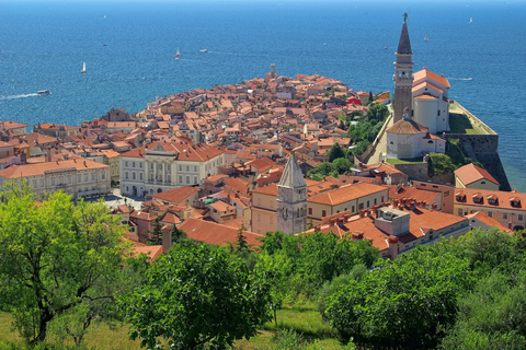 Från Ljubljana: UNESCO-grottorna i Škocjan och heldagsutflykt till Piran