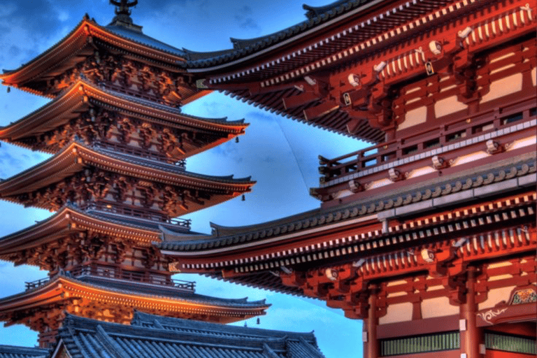 Tokyo Full Day Customizable Private Tour with English Guide