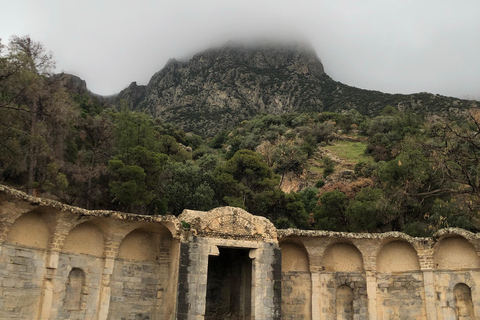 From Tunis: Bardo Museum, Oudhna & Aqueduct Private Tour