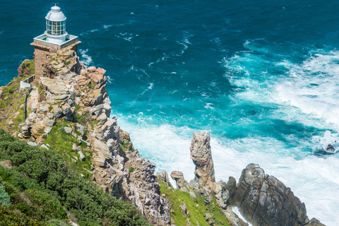 From Cape Town: Cape Point and Boulders Beach Full-Day Tour Tour Excluding Cape Point Park Fee