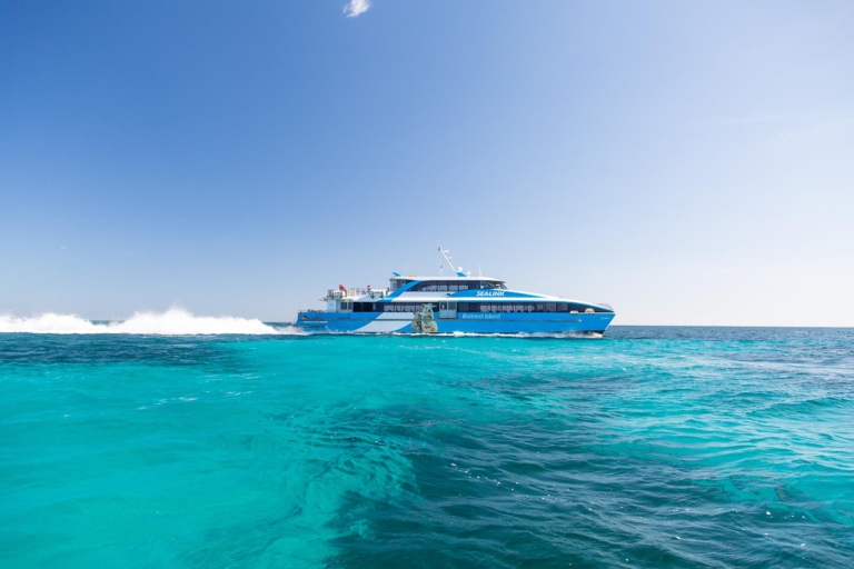 Rottnest Grand Island Package with Ferry, Tour & Light Lunch Ferry From Fremantle with 11:30 AM Tour