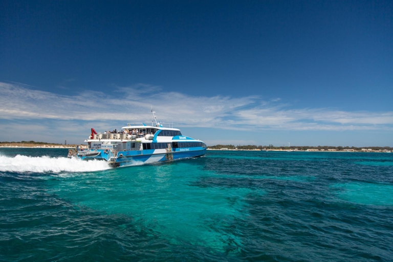 Forfait Rottnest Grand Island avec ferry, visite et déjeuner légerFerry de Fremantle avec visite à 11h30