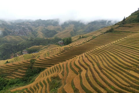 Longji-rijstterrassen: een volledige privétour vanuit GuilinDazhai Village Tour met kabelbaan