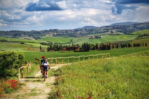 Desde Florencia: Toscana en bicicleta eléctrica con almuerzo y degustación de vinos.