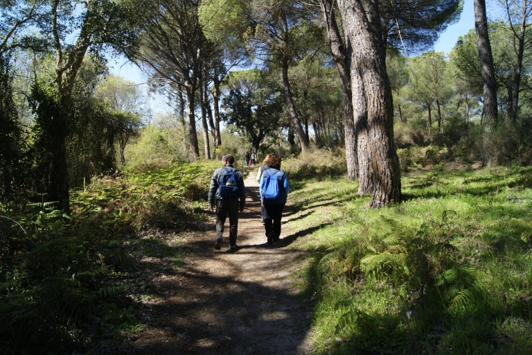 Visite hors route du parc national de Doñana au départ de SévilleVisite hors route du parc national de Doñana au départ de Séville - Privé