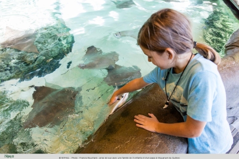 Quebec: Bilet wstępu do Aquarium du Quebec