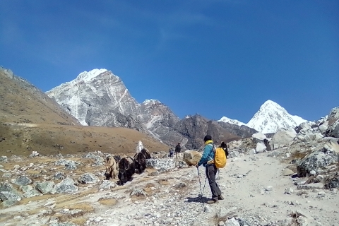 Everest Basislager: 12-tägige Wanderung ab Kathmandu