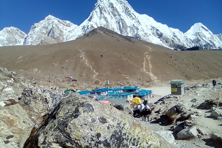 Camp de base de l'Everest : Trek de 12 jours au départ de Katmandou
