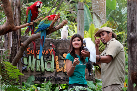 Sunway Lagoon: Bilet z transferem z Kuala LumpurSunway Lagoon: bilet z transferem z Kuala Lumpur