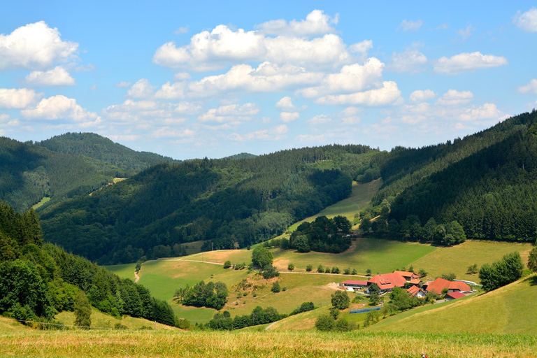 رحلة ليوم واحد إلى الغابة السوداء من ستراسبورغ: بادن بادن والنبيذ
