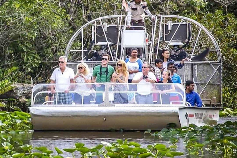 Tour de medio día en hidrodeslizador por los Everglades y transporte