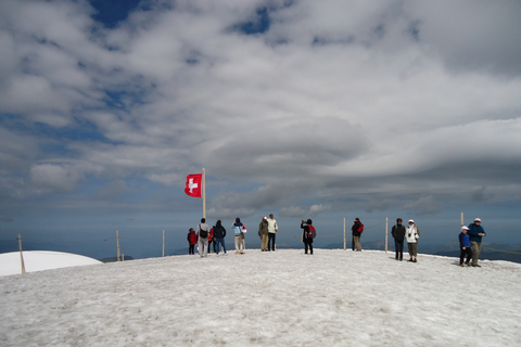 Jungfraujoch Top of Europe Private Tour ab LuzernVon Luzern aus: Private Jungfraujoch Tagestour