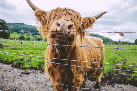 Från Edinburgh: Isle of Skye och Yttre Hebriderna 6-dagars rundtur