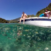 Angra dos Reis and Ilha Grande: Small-Group Fast-Boat Tour