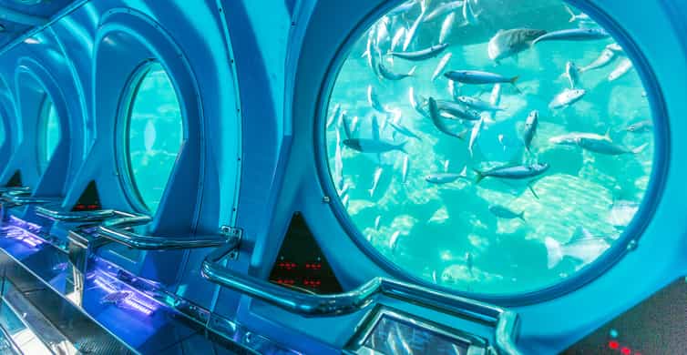 Puerto de Mogán: Submarine Tour