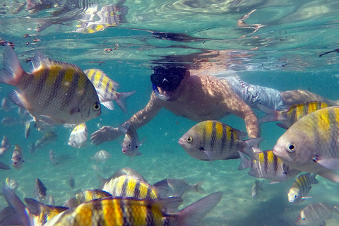 Angra dos Reis and Ilha Grande: Small-Group Fast-Boat Tour Super Ilha Grande