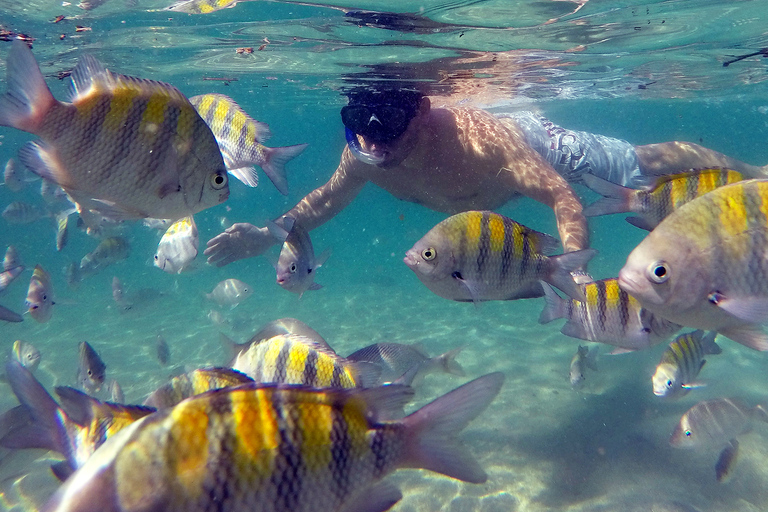 Angra dos Reis and Ilha Grande: Small-Group Fast-Boat Tour Super Ilha Grande