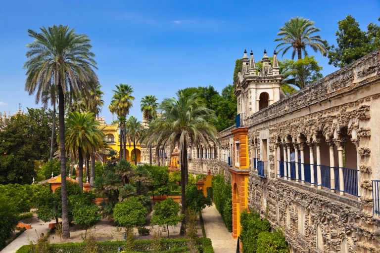 Séville : visite guidée cathédrale, Giralda et AlcazarVisite de groupe en anglais
