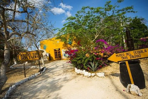 Cancun: Chichén Itzá, Valladolid i Cenote HubikuWycieczka premium z lunchem i otwartym barem