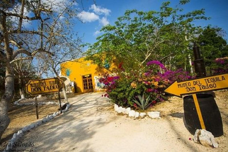 Cancún: Chichén Itzá, Valladolid & Hubiku-Cenote Tagestour