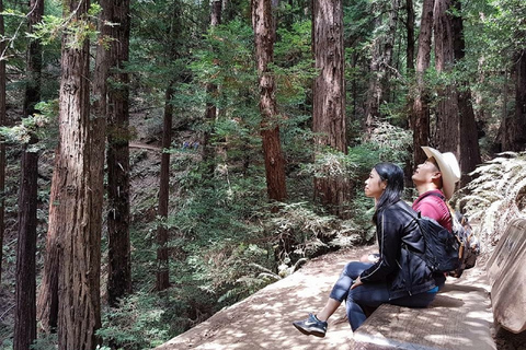 San Francisco: Excursión a Muir Woods y Crucero por la Bahía Golden GateExcursión a Muir Woods y tour con paradas libres de 2 días