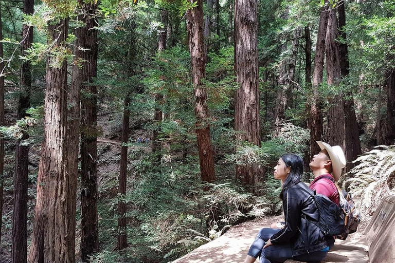 San Francisco: Excursión a Muir Woods y Crucero por la Bahía Golden GateExcursión a Muir Woods y tour con paradas libres de 2 días