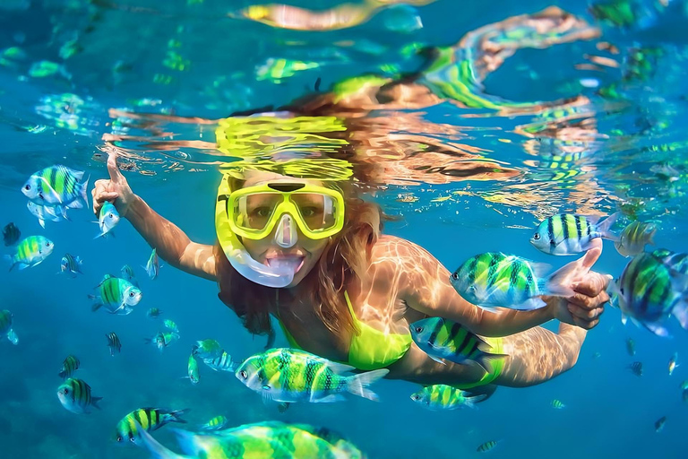 Bali: Snorkel en 2 puntos con Comida y Transporte